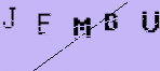 Captcha Image: you will need to recognize the text in it.